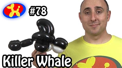 killer whale balloon|killer whale balloon animal episode.